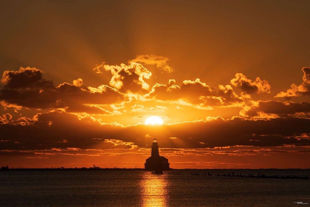 Barry Butler’s “Flow – Water Brings Life to Chicago” Exhibit to Open at Navy Pier Aug. 17